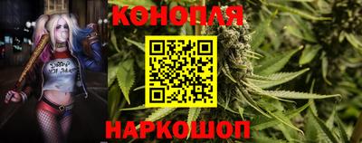 эйфоретик Малгобек