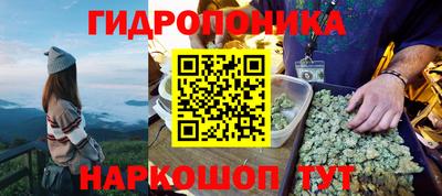 эйфоретик Малгобек