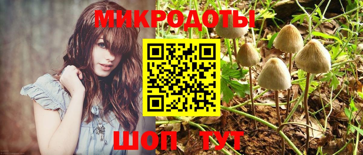 Рославль  Галлюциногенные грибы мухоморы  Псилоцибиновые грибы Cubensis  Вход с VPN 