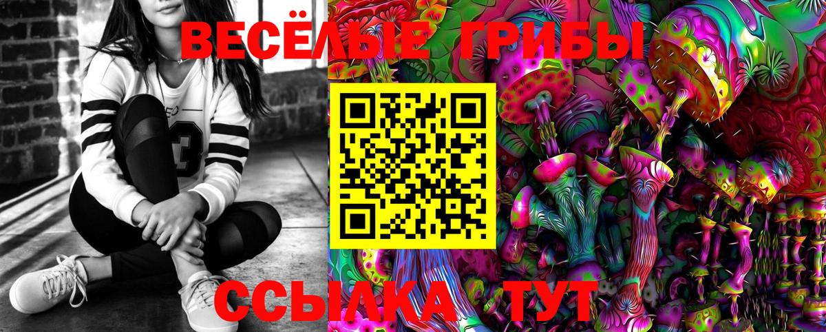 Псилоцибиновые грибы мухоморы Рославль